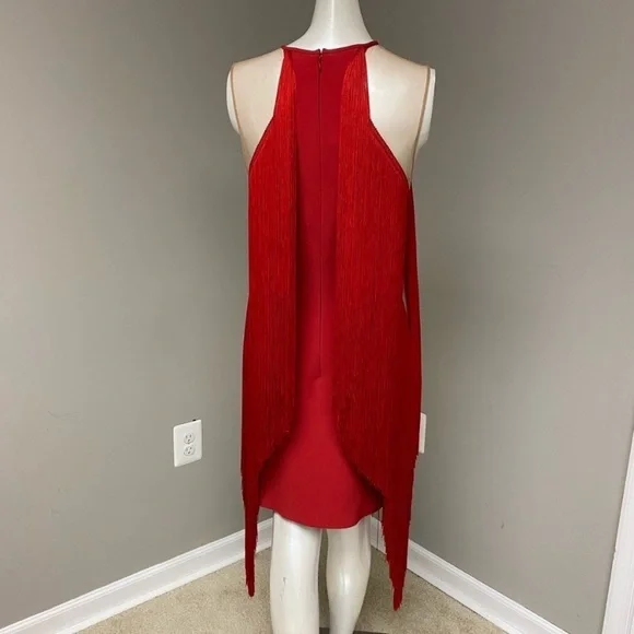 Sleeveless Illusion Wing Fringe Stretch-cady Mini Dress - Picture 9 of 13